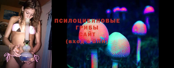 а пвп мука Аркадак