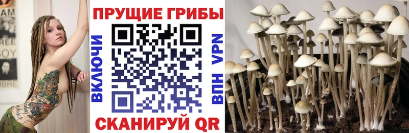 Псилоцибиновые грибы ЛСД  МЕГА tor  площадка официальный сайт  где купить наркоту  Инсар 
