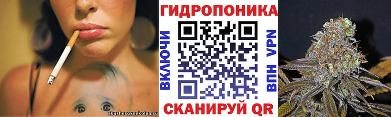 Бошки Шишки White Widow  KRAKEN сайт  Инсар 